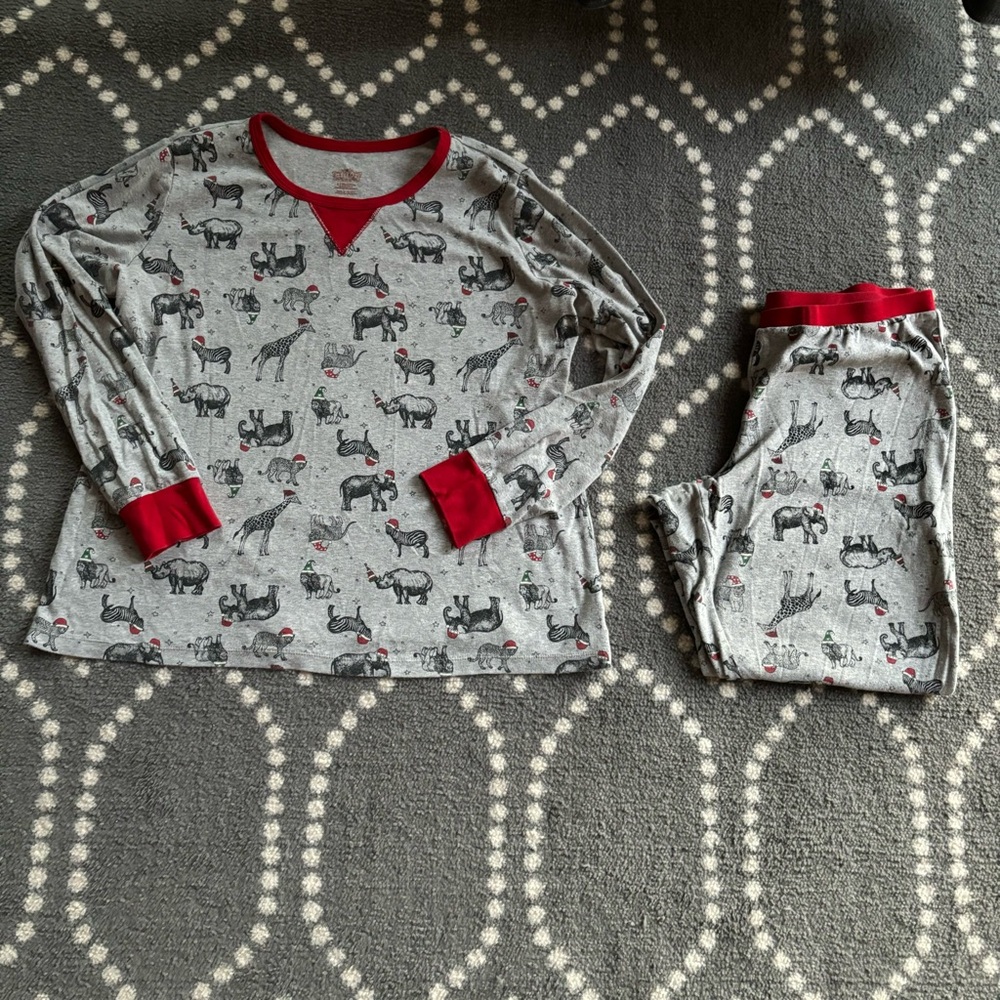 Wondershop at Target - Wild Animals Christmas PJs Set - Women’s SIZE LARGE